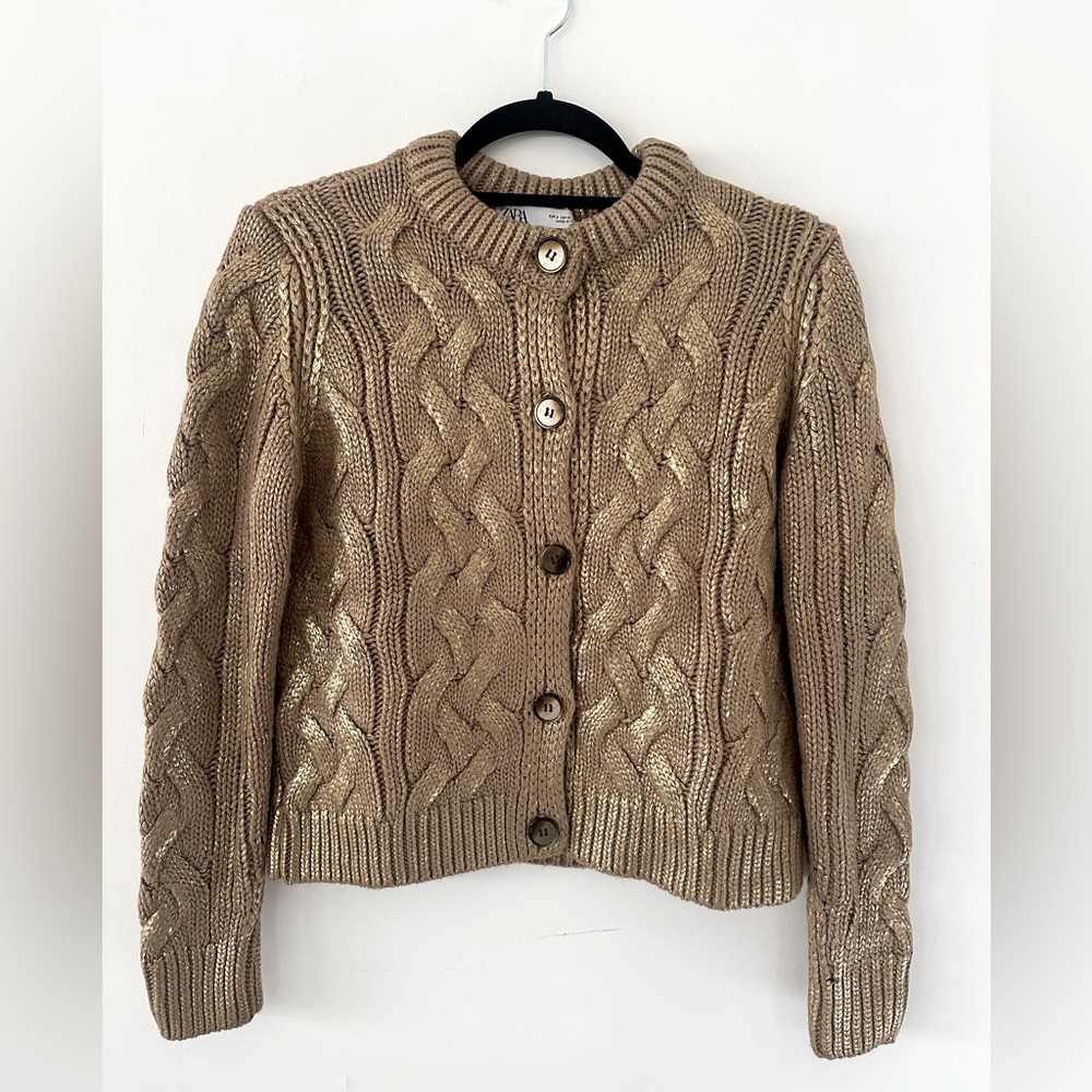 Zara button down sweater